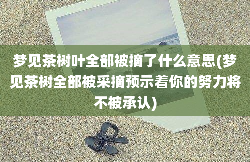 梦见茶树叶全部被摘了什么意思(梦见茶树全部被采摘预示着你的努力将不被承认)