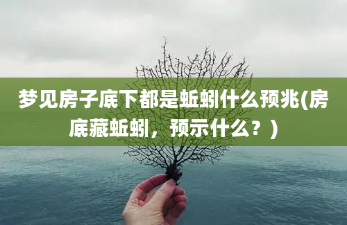 梦见房子底下都是蚯蚓什么预兆(房底藏蚯蚓，预示什么？)