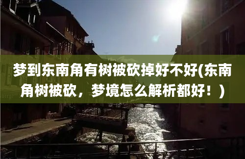 梦到东南角有树被砍掉好不好(东南角树被砍，梦境怎么解析都好！)