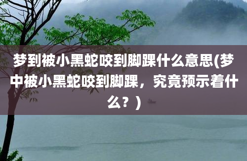 梦到被小黑蛇咬到脚踝什么意思(梦中被小黑蛇咬到脚踝，究竟预示着什么？)