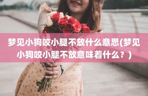 梦见小狗咬小腿不放什么意思(梦见小狗咬小腿不放意味着什么？)