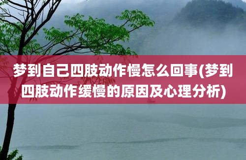 梦到自己四肢动作慢怎么回事(梦到四肢动作缓慢的原因及心理分析)