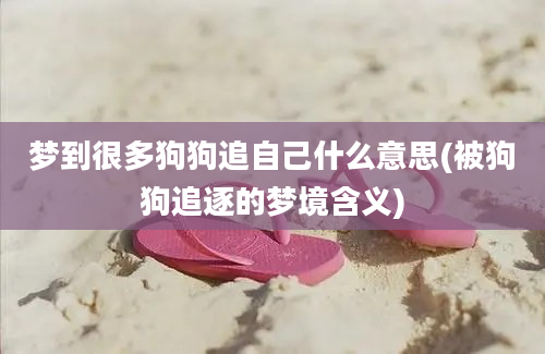 梦到很多狗狗追自己什么意思(被狗狗追逐的梦境含义)