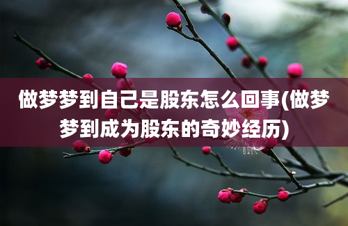 做梦梦到自己是股东怎么回事(做梦梦到成为股东的奇妙经历)