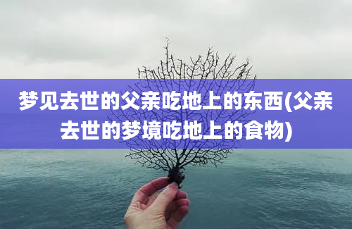 梦见去世的父亲吃地上的东西(父亲去世的梦境吃地上的食物)