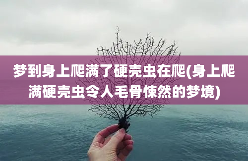 梦到身上爬满了硬壳虫在爬(身上爬满硬壳虫令人毛骨悚然的梦境)