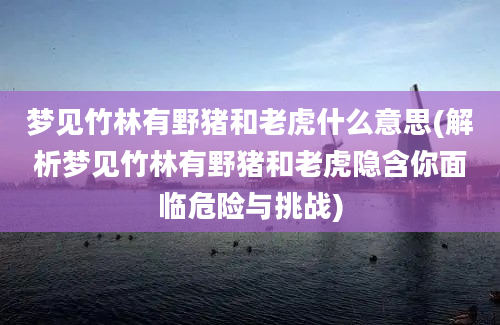 梦见竹林有野猪和老虎什么意思(解析梦见竹林有野猪和老虎隐含你面临危险与挑战)