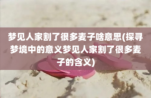 梦见人家割了很多麦子啥意思(探寻梦境中的意义梦见人家割了很多麦子的含义)