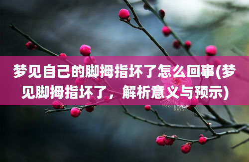 梦见自己的脚拇指坏了怎么回事(梦见脚拇指坏了，解析意义与预示)