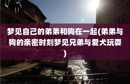 梦见自己的弟弟和狗在一起(弟弟与狗的亲密时刻梦见兄弟与爱犬玩耍)