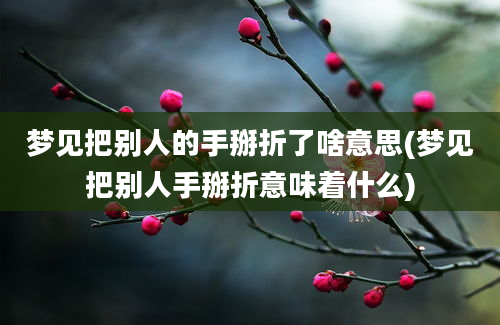 梦见把别人的手掰折了啥意思(梦见把别人手掰折意味着什么)