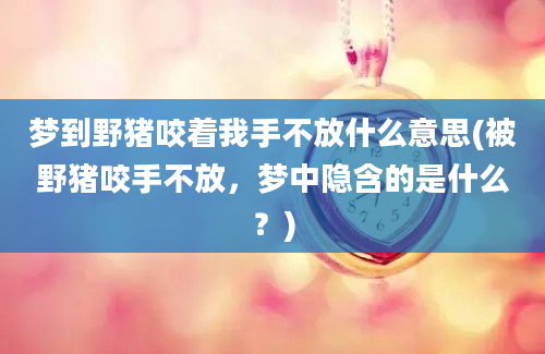 梦到野猪咬着我手不放什么意思(被野猪咬手不放，梦中隐含的是什么？)