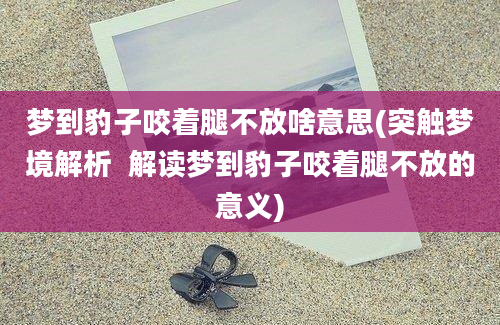 梦到豹子咬着腿不放啥意思(突触梦境解析  解读梦到豹子咬着腿不放的意义)