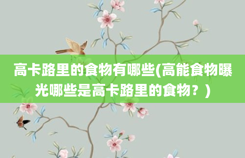 高卡路里的食物有哪些(高能食物曝光哪些是高卡路里的食物？)