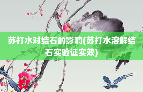 苏打水对结石的影响(苏打水溶解结石实验证实效)