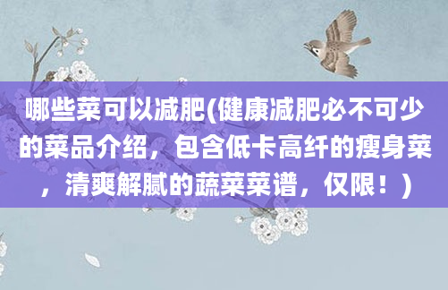 哪些菜可以减肥(健康减肥必不可少的菜品介绍，包含低卡高纤的瘦身菜，清爽解腻的蔬菜菜谱，仅限！)