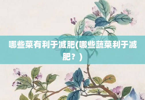 哪些菜有利于减肥(哪些蔬菜利于减肥？)