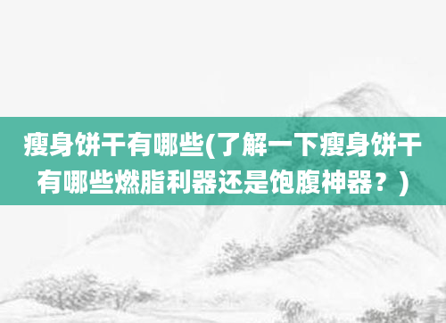 瘦身饼干有哪些(了解一下瘦身饼干有哪些燃脂利器还是饱腹神器？)