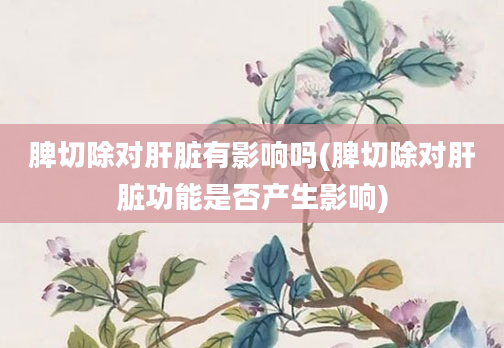 脾切除对肝脏有影响吗(脾切除对肝脏功能是否产生影响)