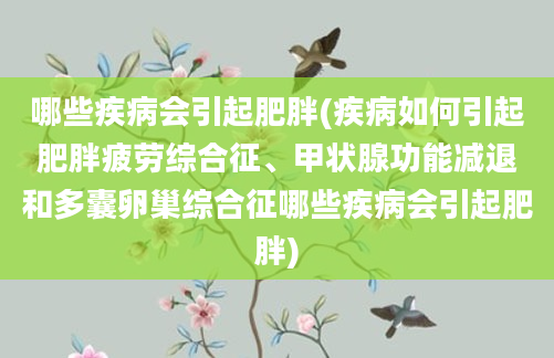 哪些疾病会引起肥胖(疾病如何引起肥胖疲劳综合征、甲状腺功能减退和多囊卵巢综合征哪些疾病会引起肥胖)