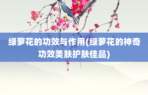 绿萝花的功效与作用(绿萝花的神奇功效美肤护肤佳品)