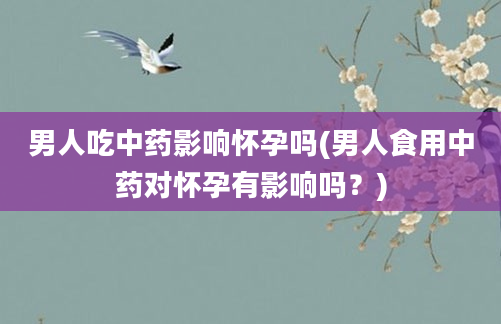 男人吃中药影响怀孕吗(男人食用中药对怀孕有影响吗？)