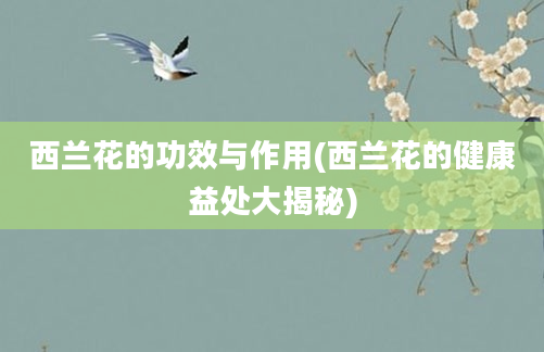 西兰花的功效与作用(西兰花的健康益处大揭秘)