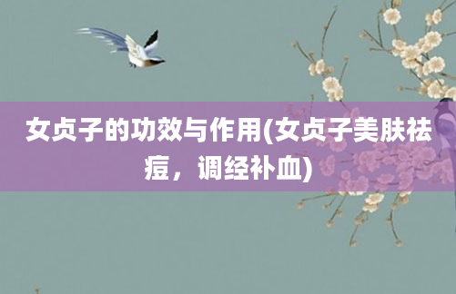 女贞子的功效与作用(女贞子美肤祛痘，调经补血)