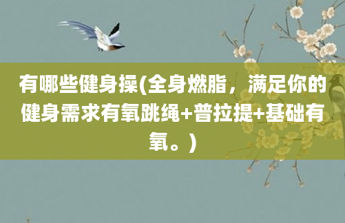 有哪些健身操(全身燃脂，满足你的健身需求有氧跳绳+普拉提+基础有氧。)