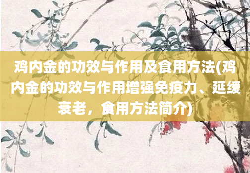 鸡内金的功效与作用及食用方法(鸡内金的功效与作用增强免疫力、延缓衰老，食用方法简介)
