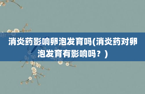 消炎药影响卵泡发育吗(消炎药对卵泡发育有影响吗？)