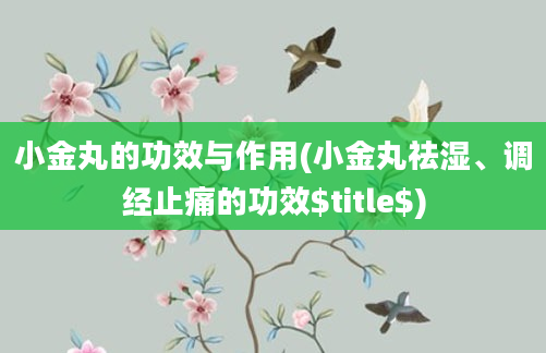 小金丸的功效与作用(小金丸祛湿、调经止痛的功效$title$)