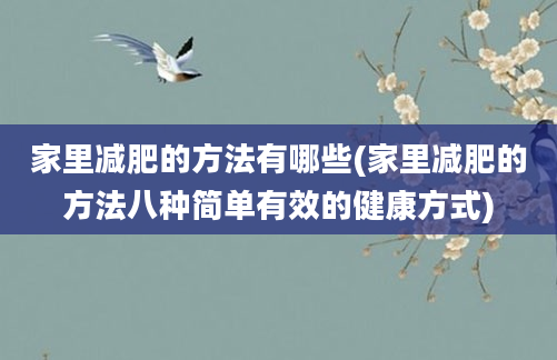 家里减肥的方法有哪些(家里减肥的方法八种简单有效的健康方式)