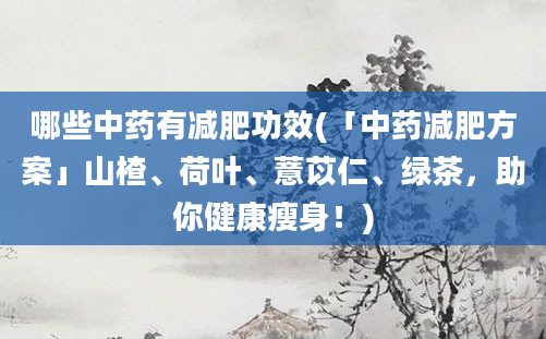 哪些中药有减肥功效(「中药减肥方案」山楂、荷叶、薏苡仁、绿茶，助你健康瘦身！)