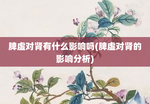 脾虚对肾有什么影响吗(脾虚对肾的影响分析)