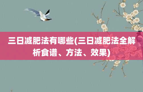 三日减肥法有哪些(三日减肥法全解析食谱、方法、效果)