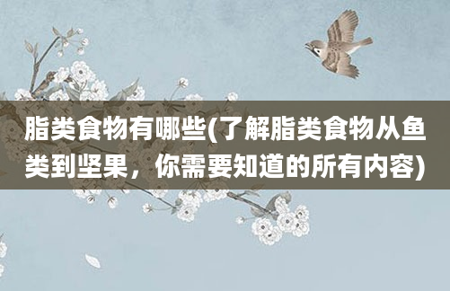 脂类食物有哪些(了解脂类食物从鱼类到坚果，你需要知道的所有内容)