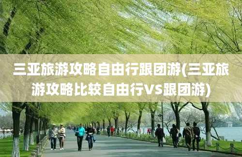 三亚旅游攻略自由行跟团游(三亚旅游攻略比较自由行VS跟团游)