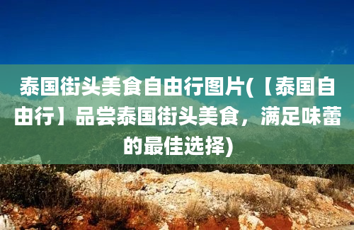 泰国街头美食自由行图片(【泰国自由行】品尝泰国街头美食，满足味蕾的最佳选择)