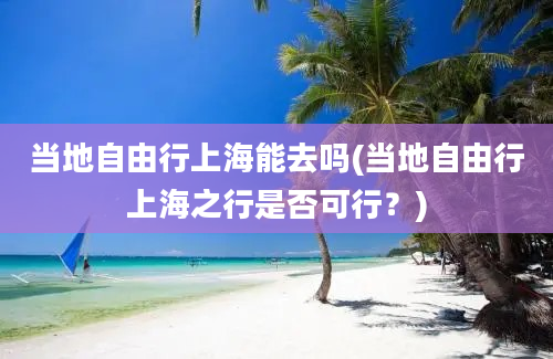 当地自由行上海能去吗(当地自由行上海之行是否可行？)