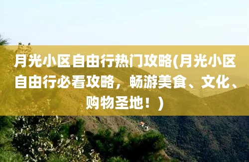 月光小区自由行热门攻略(月光小区自由行必看攻略，畅游美食、文化、购物圣地！)