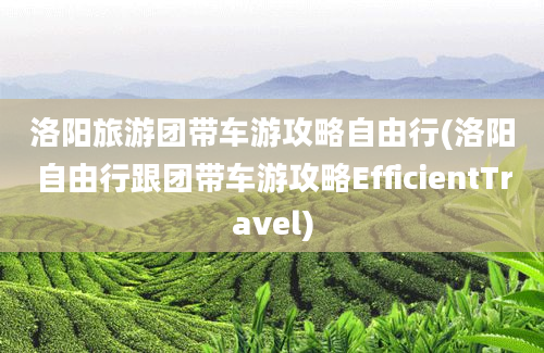 洛阳旅游团带车游攻略自由行(洛阳自由行跟团带车游攻略EfficientTravel)