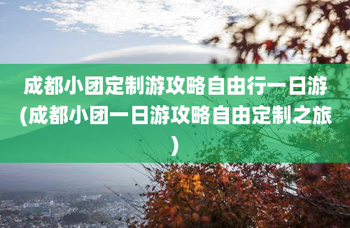 成都小团定制游攻略自由行一日游(成都小团一日游攻略自由定制之旅)