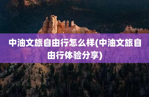 中油文旅自由行怎么样(中油文旅自由行体验分享)