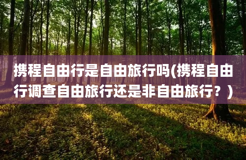 携程自由行是自由旅行吗(携程自由行调查自由旅行还是非自由旅行？)