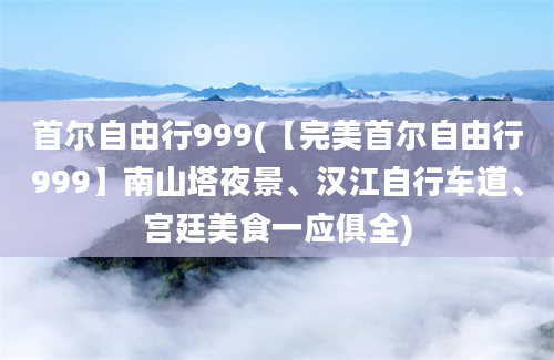 首尔自由行999(【完美首尔自由行999】南山塔夜景、汉江自行车道、宫廷美食一应俱全)