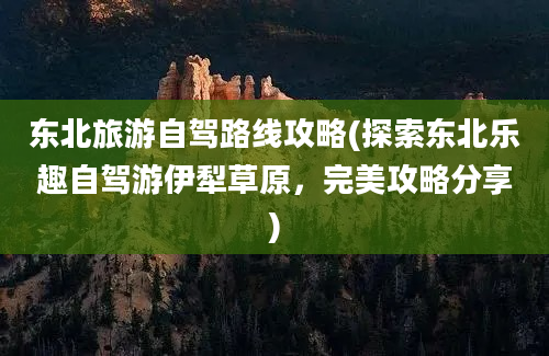 东北旅游自驾路线攻略(探索东北乐趣自驾游伊犁草原，完美攻略分享)