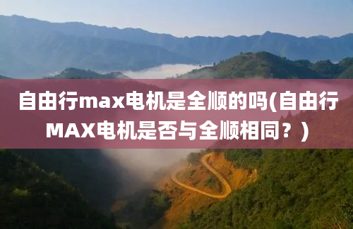 自由行max电机是全顺的吗(自由行MAX电机是否与全顺相同？)