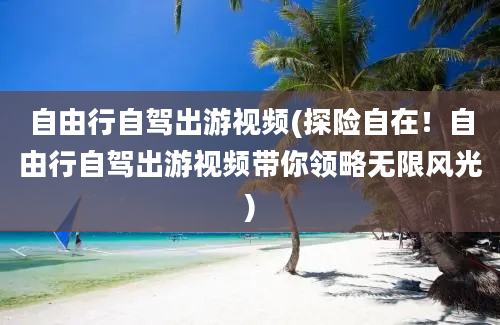 自由行自驾出游视频(探险自在！自由行自驾出游视频带你领略无限风光)