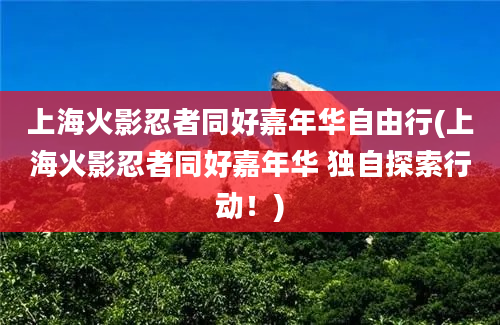 上海火影忍者同好嘉年华自由行(上海火影忍者同好嘉年华 独自探索行动！)